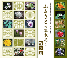 『ふるさとの草木花と寄り道』書影